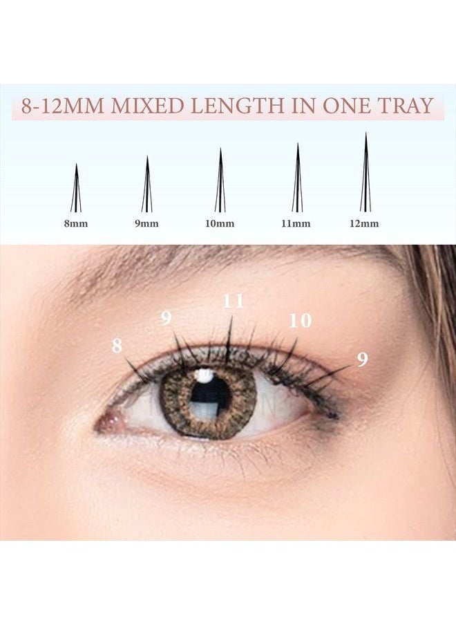 Cluster Lash Extensions C curl 8-12mm Mixd Single lashes natural look A Shape False lashes fairy eyelashes individual (A Shape 0.07 C Mix 8-12)