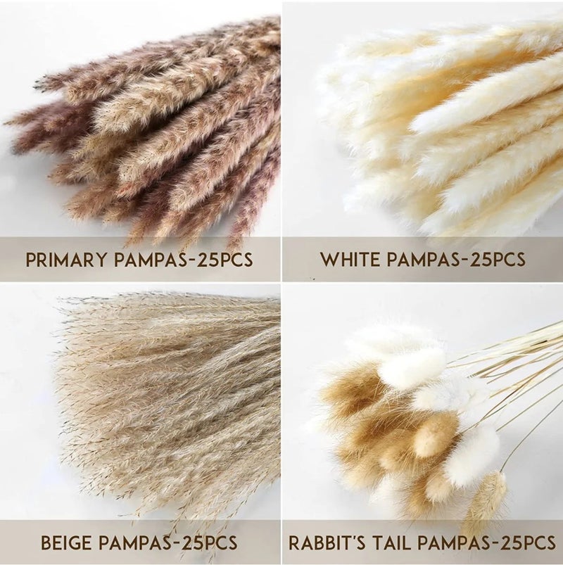 Bluejw G44 Natural Dried Pampas Grass Decor - Small Composable Dried Plants for Christmas, Wedding, Home Flower Arrangements - Image 5