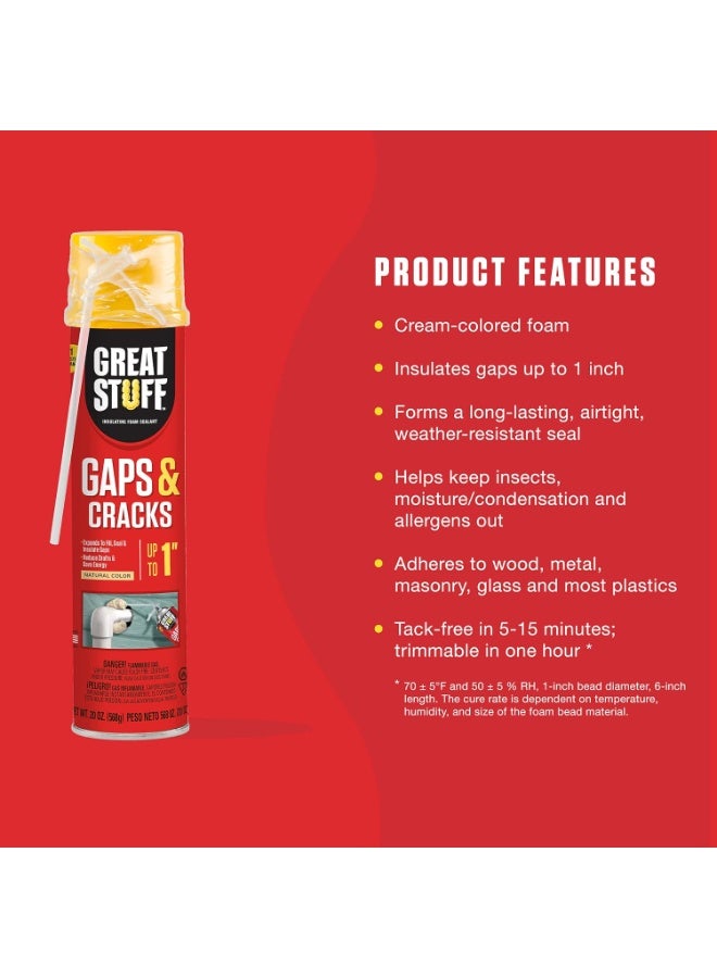 Great Stuff 157911 Insulating Foam Sealant, 20 Ounce, Ivory - Image 2