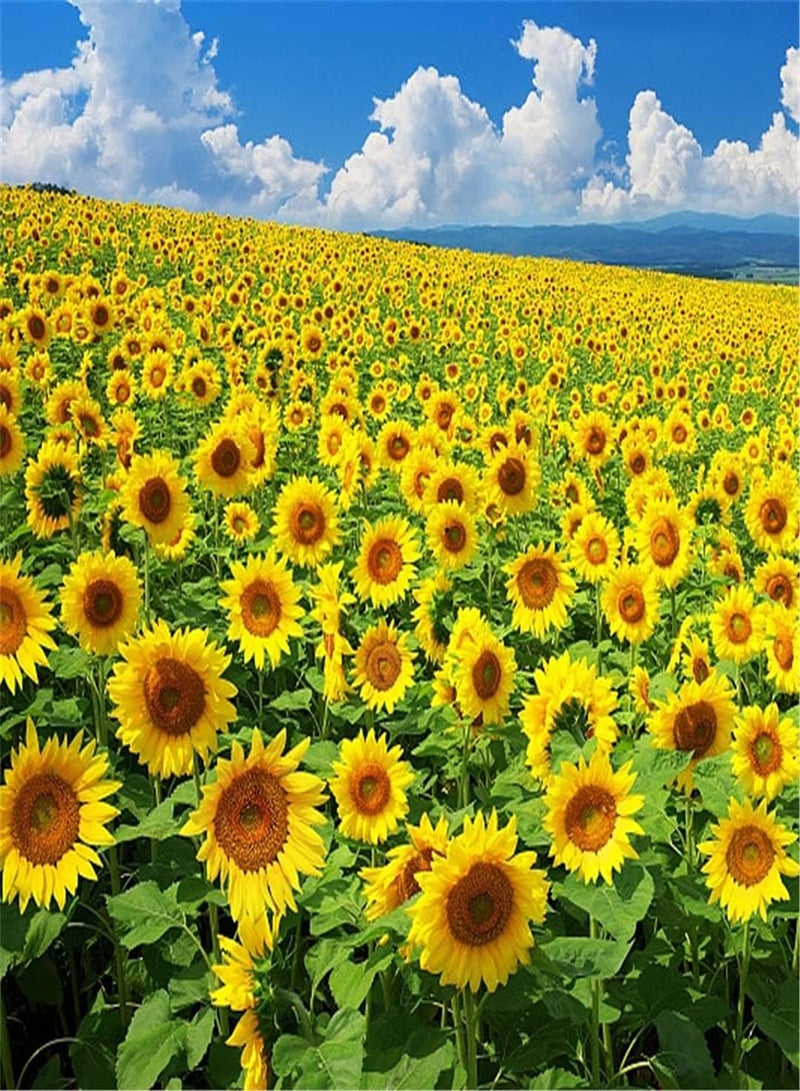 GGOOT Giant Sunflower Seeds/Seeds to Grow Kids Kit/Flower Seeds UK/Absolutely Beautiful Flower Seed/Perennial Potted Garden Plants/Heirloom Garden Seeds-100pcs - Image 2