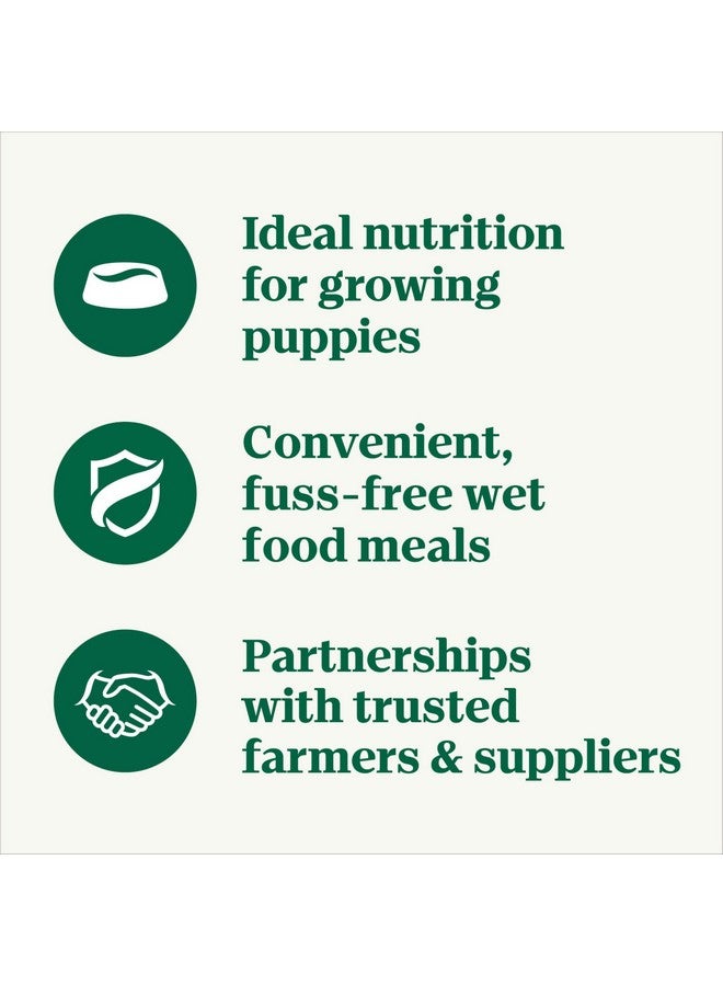 NUTRO PUPPY Grain Free Natural Wet Dog Food Bites in Gravy, Tender Chicken, Sweet Potato & Pea Recipe, 3.5 oz. Trays (24 Count, Pack of 1) - Image 1