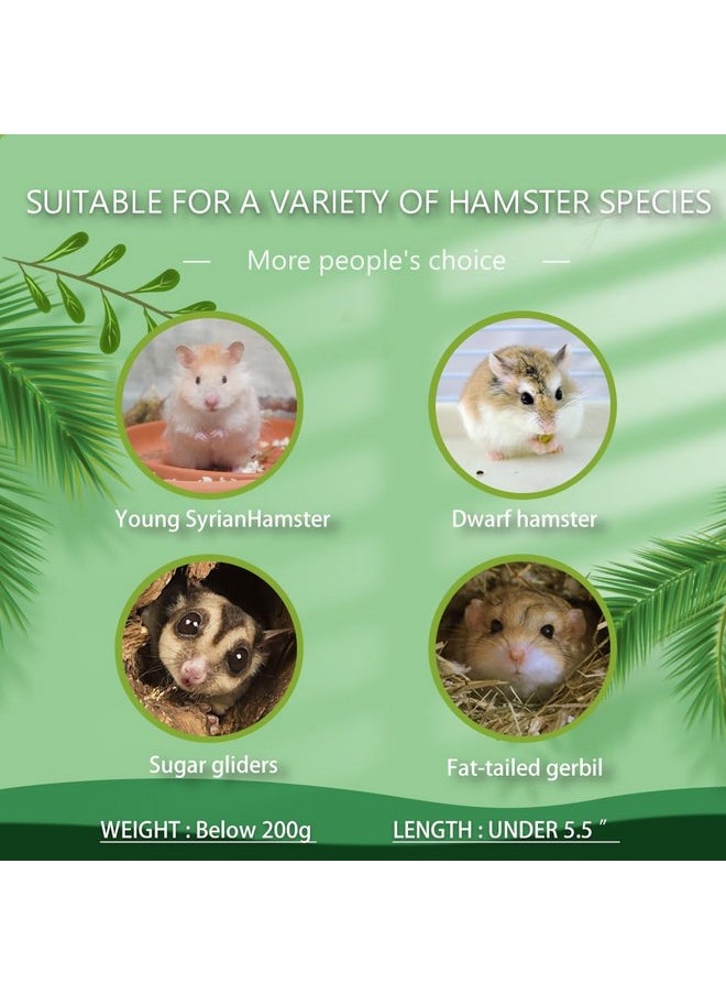 kcrygogo - Tiny Hamster Maze Wood House Fun Slide House DoubleDecker Hut For Dwarf Gerbil Mouse Mice Rat Small Animals(Only For Small Hamster) - Image 1