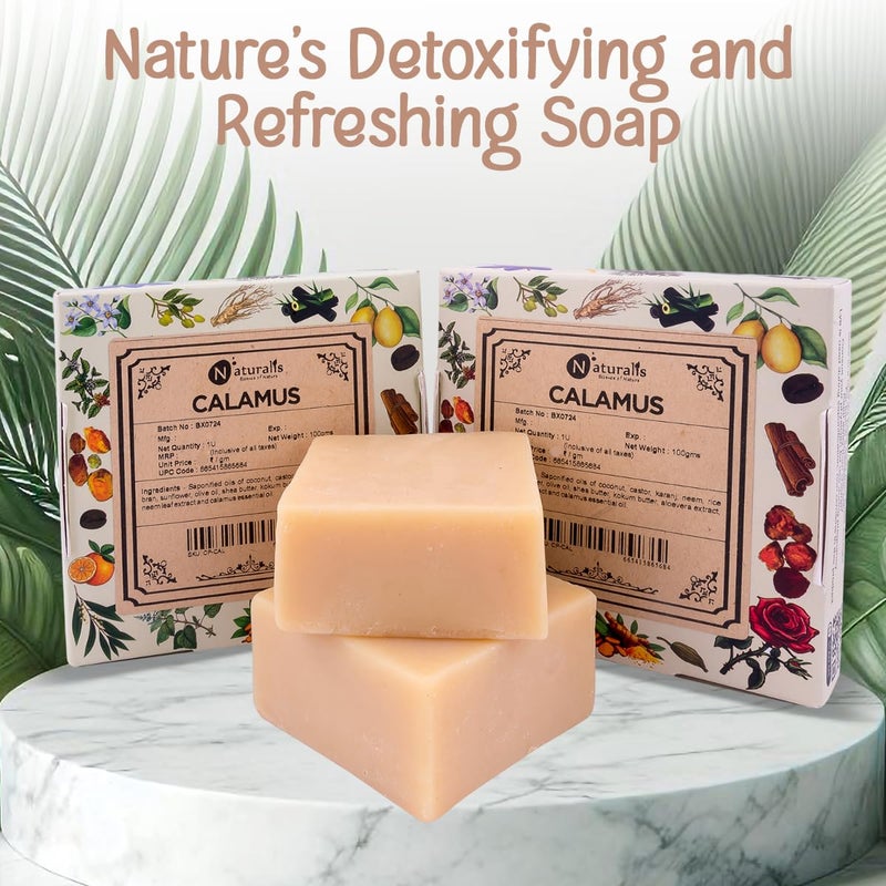 Naturalis Calamus Essential Oil Soap Bar  Handmade Cold Pressed Soap with Organic Calamus Oil  Natural Luxury Soap for Deep Moisturizing and Skin Refreshment 100g - Image 4