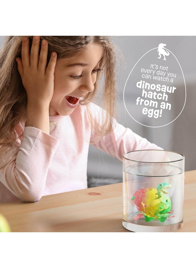 Dan&Darci بيض مفاجأة ديناصور يفقس للأطفال - 6 عبوات - ينمو 600% - ألعاب بيض الديناصور للأولاد والبنات من عمر 3-8 سنوات - أفكار هدايا، هدايا حفلات، حشوات سلال - هدايا للبنات من عمر 3 4 5 6 7 8 - Image 5