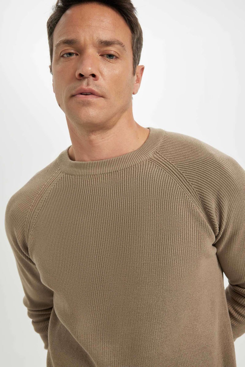 DeFacto Man Standard Fit Crew Neck Basic Knitted Pullover  - Image 4