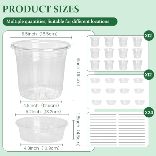 Bluepro 12 Pack 6.5 Inch Clear Self Watering Plant Pots with Bottom Water Tray & Watering Rope, Transparent Nursery Pots with Drainage for Seedlings, Herbs, and Houseplants - Image 2