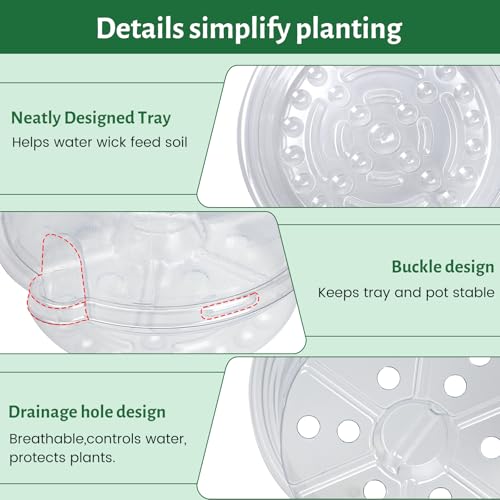 Bluepro 12 Pack 6.5 Inch Clear Self Watering Plant Pots with Bottom Water Tray & Watering Rope, Transparent Nursery Pots with Drainage for Seedlings, Herbs, and Houseplants - Image 5