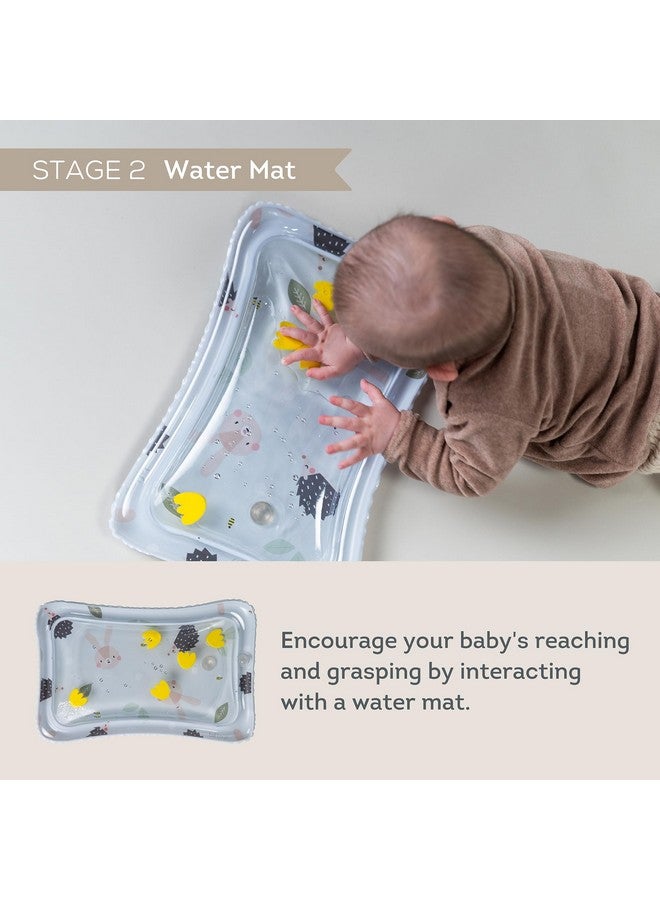 Taf Toys Taf Toys Baby Tummy Time Kit - High Contrast Black and White Crinkle Book, Support Pillow, Activity Water Mat, Sensory Balls, Plate - Newborn Infant Sensory Toy Set - Image 5