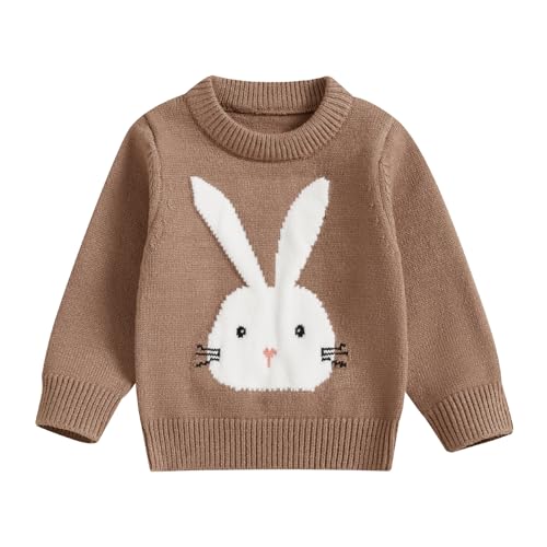 KMBANGI Baby Boy Girl Easter Sweater Toddler Baby Bunny Knitted Sweatshirt Cable Knitwear Warm Pullovers Top Spring Fall 0-3Y (Brown, 18-24 Months) - Image 1