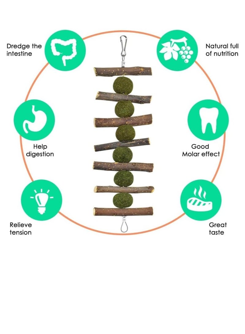 Rabbit Chew Toys, Hamster Toys Natural Apple Wood  s Chewing Toys Bunny Ball Toys Teeth Care Toys for Rabbits  s Squirrel Gerbils Small Rodent Pets Chewing and Playing - Image 5