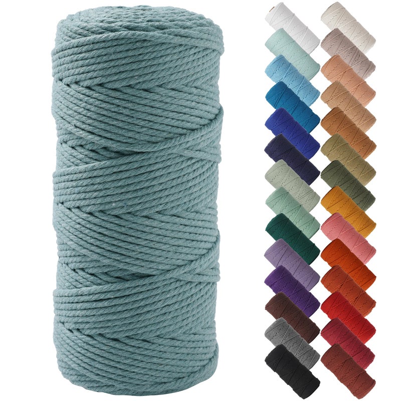 NOANTA Eucalyptus Macrame Cord 3mm x 109yards, Colored Macrame Rope Cotton Rope Macrame Yarn, Colorful Cotton Craft Cord for Wall Hanging, Plant Hangers, Crafts, Knitting - Image 1