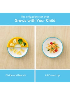 OMIE Omie Plate (Blue, 1 Plate 1 Divider)  - Image 2