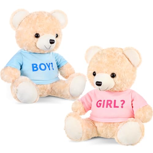 Hollowfly 2 Pack Boy or Girl Bears 14 Inch Blue and Pink Plush TShirt Bears Toy for Gender Reveal Baby Shower Decoration - Image 1