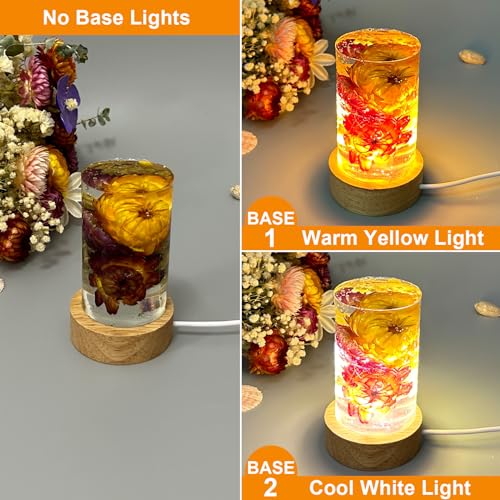 Voaesdk Cylinder Light Resin Mold,LED Silicone Resina Mould with 2 Pcs USB Powered Wooden Lighted Base Stand for DIY Table Crafts Party Wedding Desktop Lamp Home Decor - Image 3