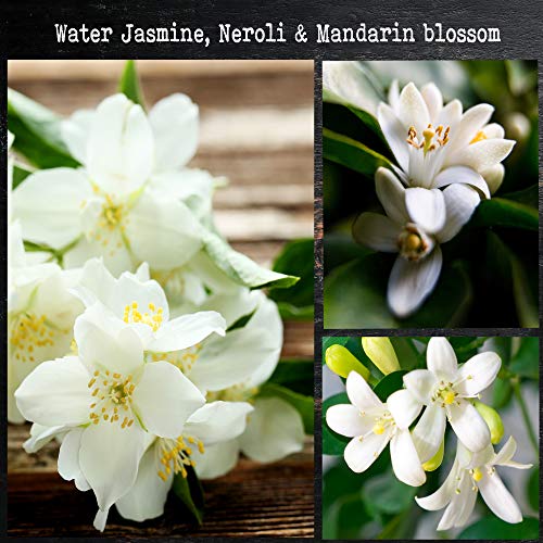 CoCo Benjamin 100% Soy, Highly Scented, Hand Poured Soy Candle (Water Jasmine,Neroli & Mandarin Blossom) - Image 3