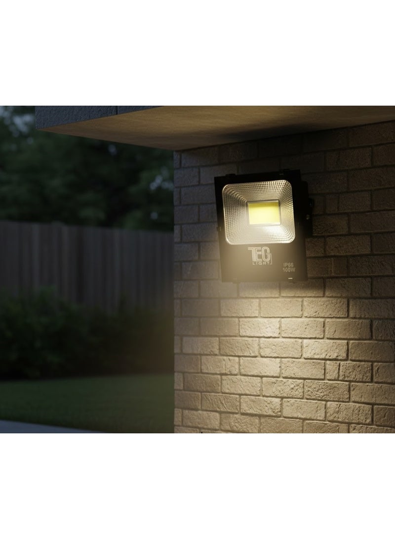 100W LED spotlight (white) - Image 1