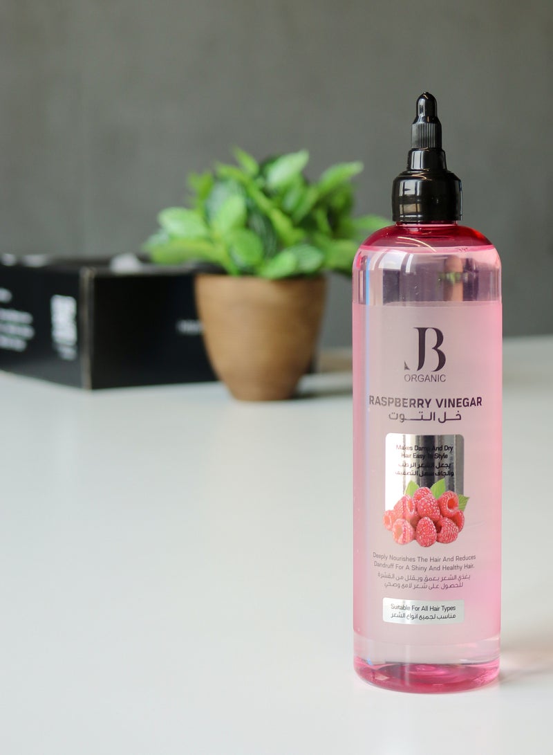 جي بي اورجانيك تونك خل التوت من جي بي اورجانيك هو الحل المثالي لإحياء شعرك بلمسة طبيعية ومنحه مظهرًا صحيًا ومشرقًا 400 مل - Image 3