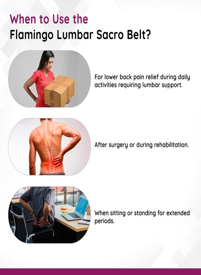 Flamingo Lumbar Sacro Belt | Orthopedic Back Support Brace for Lower Back Pain Relief, Posture Correction & Sciatica | Dual Adjustable Compression Belt for Men & Women | Size - XL | Biege | - Image 4