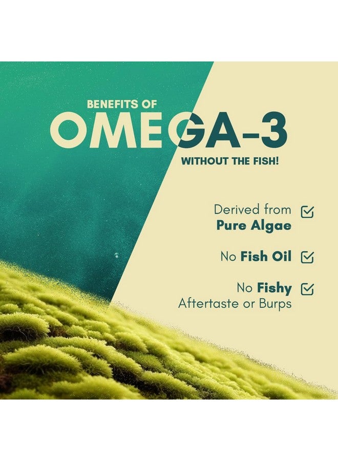 Rasayanam Ashwagandha KSM-66 & Plant Based Omega-3 (60 Veg. Non-Gelatin Capsules Each) - Combo Pack | 450mg EPA:150mg DHA in 1600mg Pure Algae Powder | 500mg Pure Root Extract KSM66 for Men & Women - Image 4