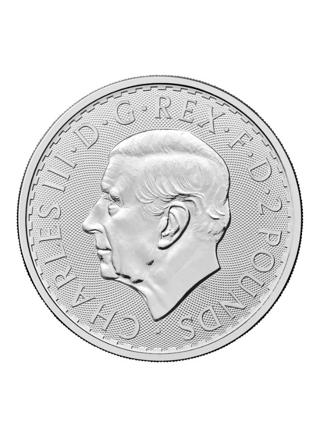 The Royal Mint 1oz Silver UK Britannia Coin 999.0 - Image 2