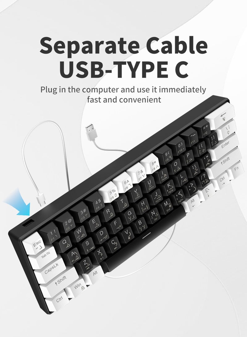 El-csele Mechanical Gaming Keyboard 61-Key Arabic-English Red Switch Type-C Wired Anti-Ghosting Dual Mode for Office Gaming Everyday Use Middle East Edition - Image 5