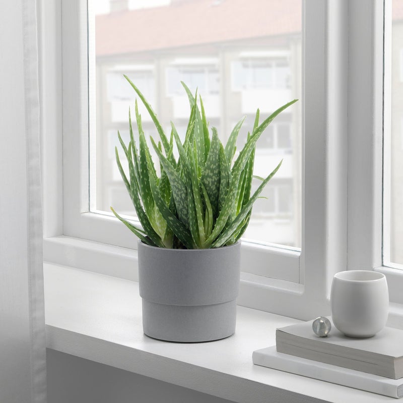 Baitique Concrete-Look Plant Pot, In/Outdoor Grey, 12 cm - Image 5