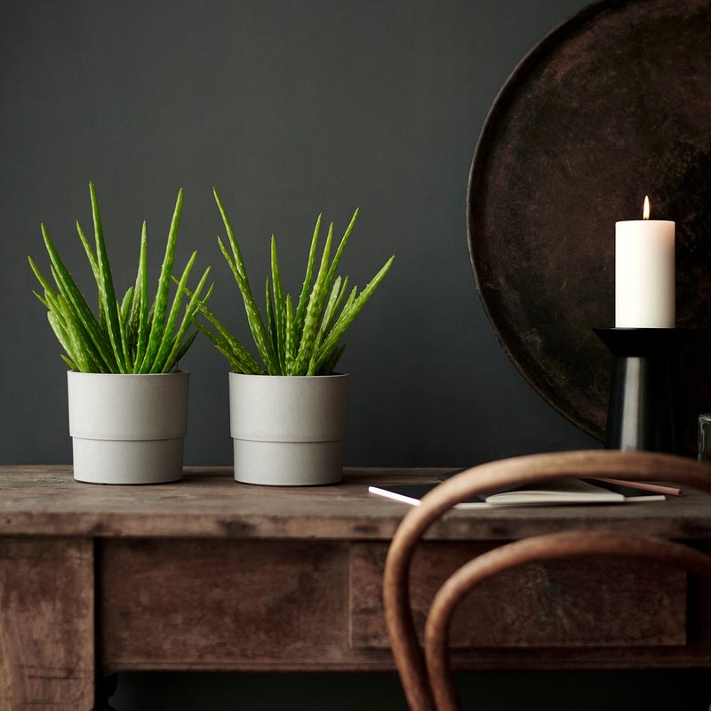 Baitique Concrete-Look Plant Pot, In/Outdoor Grey, 12 cm - Image 3