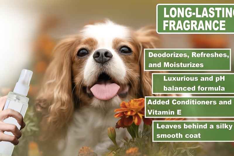 swacch Pet Aqua Odour Remover Liquid I Pet Safe Deodorizer for Home & Pet Areas I 1 Litre Pack of 3 Jasmine - Image 3