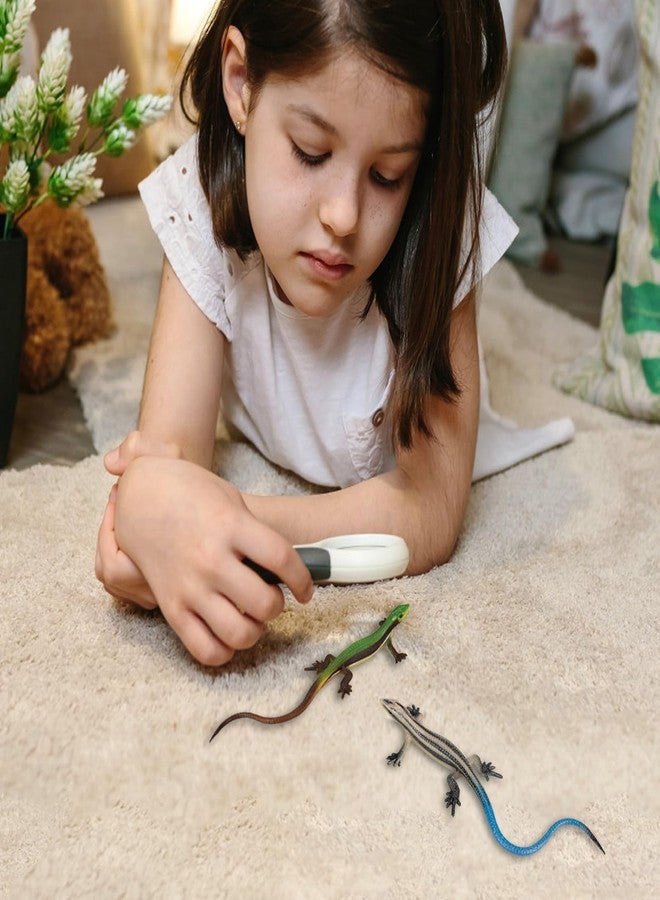 NAKIMO Plastic Lizard Toys Lizard Figurine Realistic Fake Lizards Artificial Model Reptile Toy for Cake Decoration Prank Props Educational Toys (Set - B) - Image 4