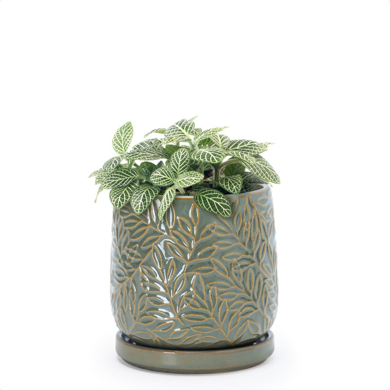 D'vine Dev 4 Inch Embossed Leaves Stoneware Planter Pot with Drainage Hole and Saucer, Olive, 27-A-Z-0 - Image 1