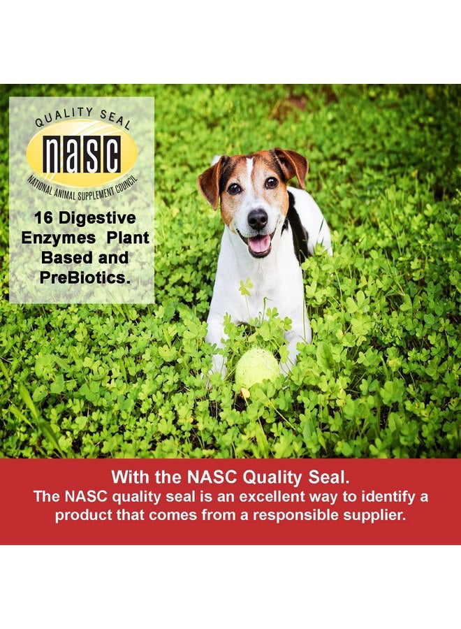 NWC Naturals Total-Zymes Digestive Enzyme Powder for Dogs and Cats, With Pre-Biotics, Puppy and Kitten Enzymes, Immune, Digestive, Joint, and Healthy Weight Support 2.22-ounce Jar by NWC Naturals (14605) - Image 3