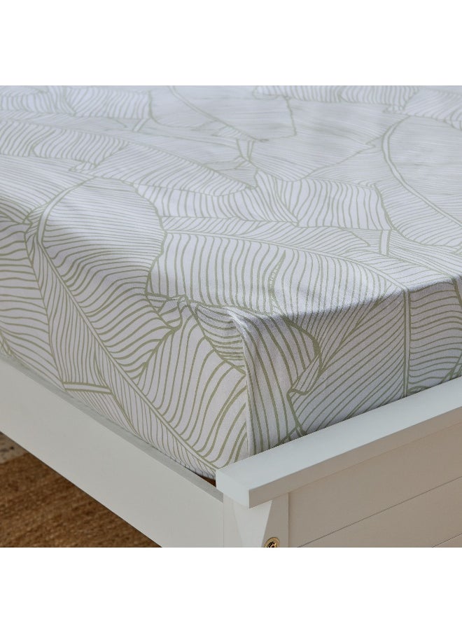 Home Box Malta Musa Printed Cotton King Flat Sheet - 240x260 cm  - Image 1