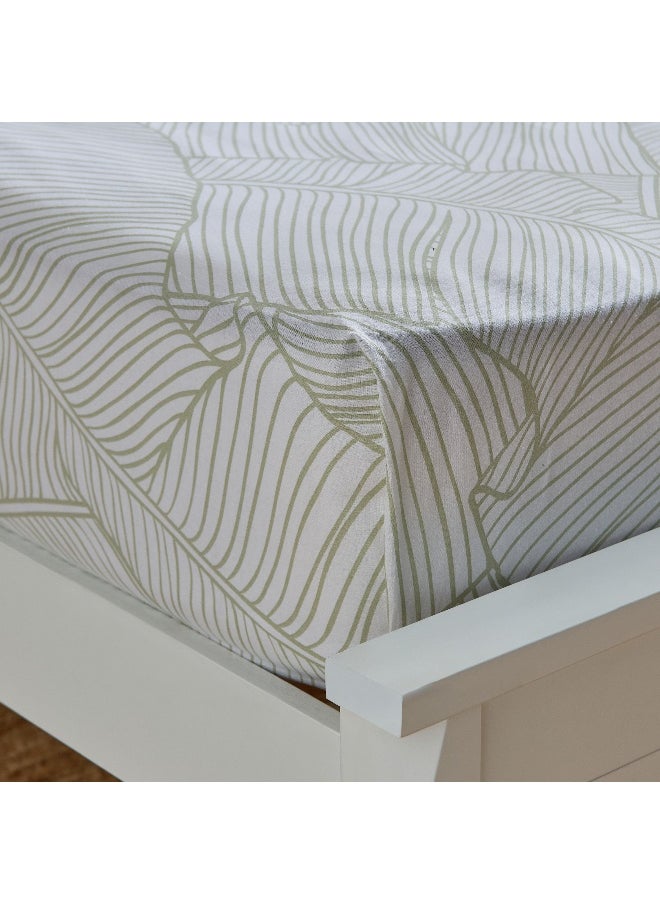 Home Box Malta Musa Printed Cotton King Flat Sheet - 240x260 cm  - Image 4