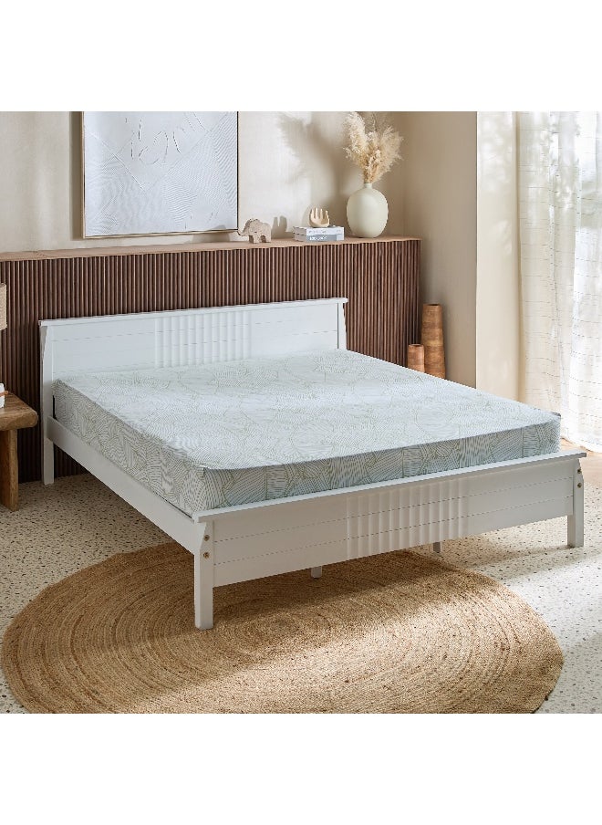 Home Box Malta Musa Printed Cotton King Flat Sheet - 240x260 cm  - Image 2