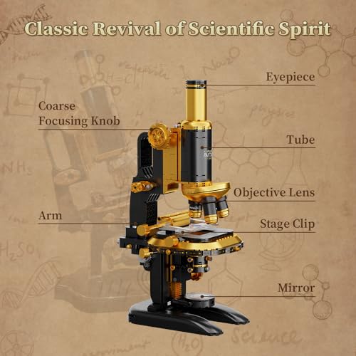 PANTASY Retro Microscope Building Kit for Adults Antique Science Instrument Model with Mechanical Design Brass Finish Lab Accessories Collectible Display Brick Set - Image 5