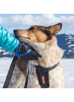 EzyDog Handy 48 Bungee Dog Leash - The Best Hands-Free Running Leash Training Lead with Superior Control and Reflective Stitching - Zero Shock Shock-Absorbing Technology (Adjustable 36” - 48”, Red) - pzsku/ZCD20D76AB90C0375EC52Z/45/_/1737031733/9e6f715c-8d70-494a-8f27-dbf9163da0bc