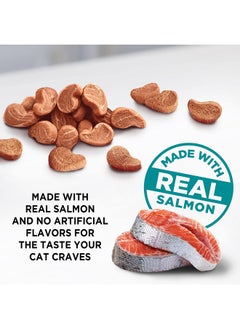 Irresistibles Soft Cat Treats, Salmon, 3 Ounce (Pack Of 5) - pzsku/ZCD21D839AC9A8F1D54C8Z/45/_/1726219834/79c8b8e4-3ac1-421b-9cc3-f80ca816b7e9