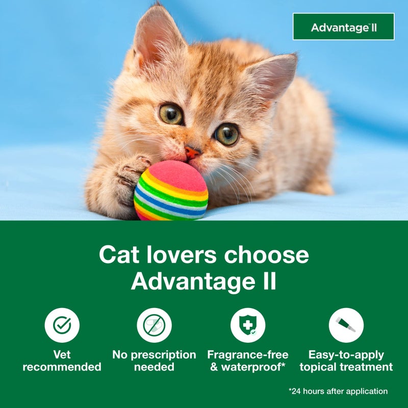 Advantage II Kitten Vet-Recommended Flea Treatment & Prevention | Cats 2-5 lbs. | 2-Month Supply - Image 3