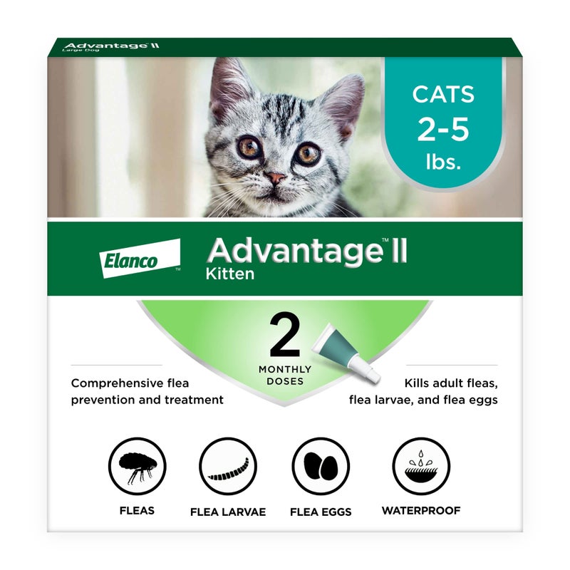 Advantage II Kitten Vet-Recommended Flea Treatment & Prevention | Cats 2-5 lbs. | 2-Month Supply - Image 1