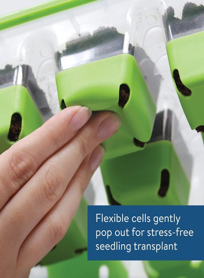 بيربي صينية إنبات البذور Burpee SuperSeed | صينية إنبات بذور قابلة لإعادة الاستخدام بـ 36 خلية | لإنبات بذور الخضراوات والزهور والأعشاب | مجموعة زراعة داخلية لشتلات النباتات | لضمان نجاح الإنبات - Image 2