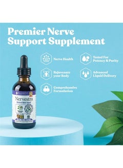 Nervestra Nerve Health Support Supplement - Fast-Absorbing Herbal Liquid Formula - Turmeric, White Willow Bark, B-Vitamins, Alpha Lipoic Acid, Acetyl-L-Carnitine and More