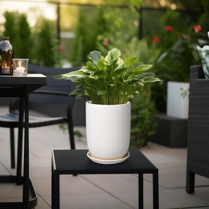 SUNPOTFOR Plant Pot 8 Inch - Ceramic Planter for Indoor Plants Outdoor, Large Plant Pot with Drainage Hole and Saucer, Modern Flower Pot, White - Image 4
