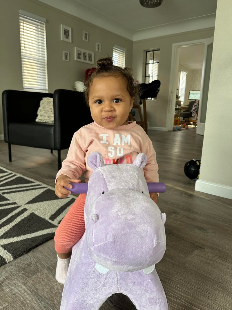 Radio Flyer Holly the Rolling Hippo Ride On, Ages 1-3, EZ-Glide 360-degree Wheels, Easy Grip Handles, Soft Plush Face, Ideal for Active and Imaginative Play, Toddler Ride On Toys - Image 2