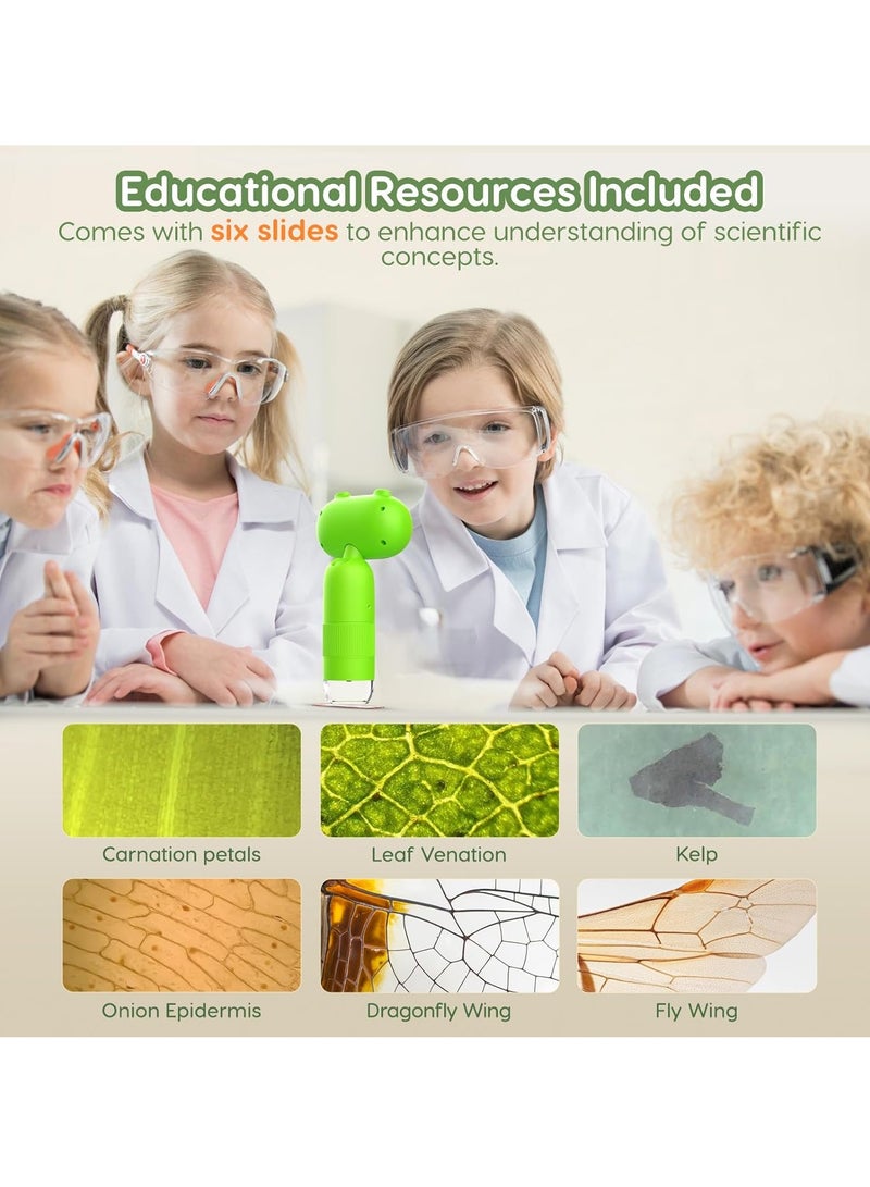 Generic Handheld Digital Microscope for Kids 1000X Including 32GB SD Card and 12 Specimens 16MP Portable Pocket Microscope with 2 Inch IPS Screen 1080P Coin Magnifier for Collectors With 8 LEDs  - Image 4