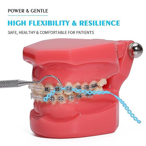 ANNWAH Dental Colorful Orthodontic Braces Rubber Chains,Dental Rubber Chains for Braces Power Chains for Orthodontic Treatment(Continuous,Blue 15) - Image 2