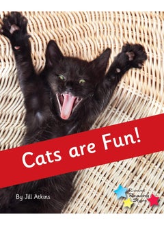 Cats are Fun!: Phonics Phase 4 