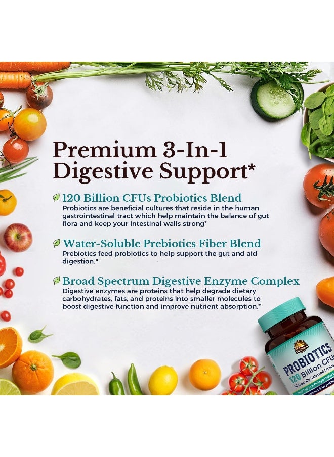 Vitalitown Vitalitown 120 Billion CFUs Probiotics 36 Strains, Prebiotics, Digestive Enzymes for Men and Women, 30 Delayed Release Veg Caps  - Image 3