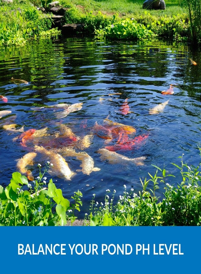 Ultraclear pH Lower 1 Gal - Natural Pond pH Decreaser - Safely Lowers High pH & Supports Balanced Water Quality - Safe for Fish, Koi, Plants & Wildlife - Image 2
