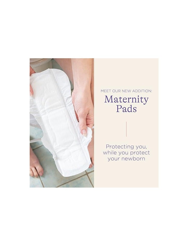 Lansinoh Discreet & Absorbent Maternity Pads, Leak Guard Protection, Soft and Breathable, Kind to Skin, Super Slim, 2+ Weeks Post Birth, Pack of 12 - Image 5