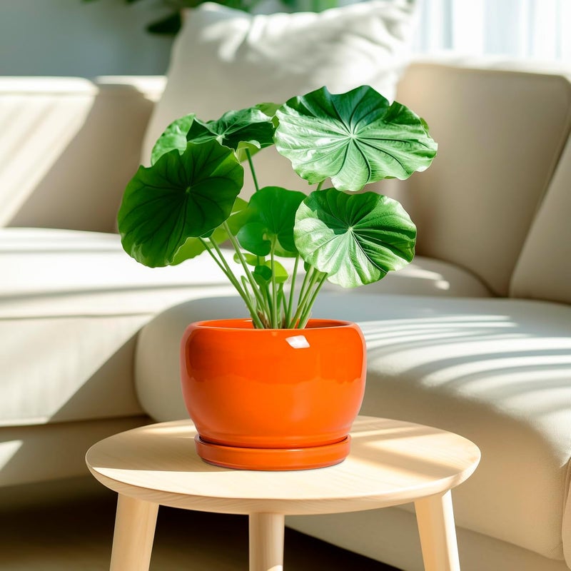 SQOWL وعاء سيراميك للنباتات - أصيص نباتات مقاس 8 بوصات للاستخدام الداخلي والخارجي، أصيص دائري حديث مع فتحة تصريف وصحن، أصيص زخرفي للزهور، ديكور المكتب، هدايا الحديقة للنساء، برتقالي - Image 2